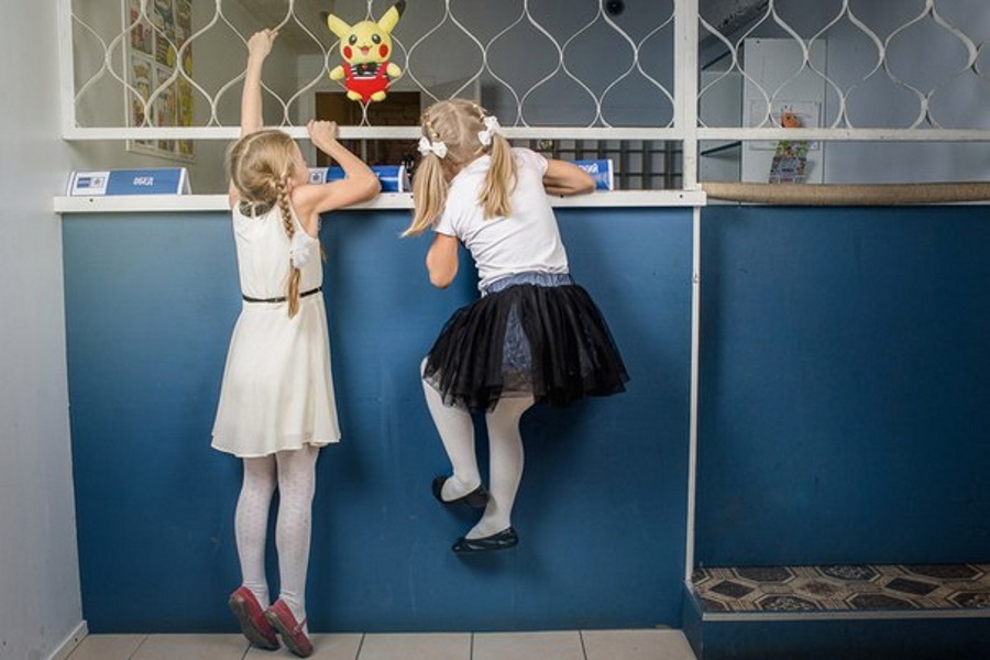 Квест в реальности Охотники за покемонами от компании Квеструм Квест в реальности Охотники за покемонами от компании Квеструм